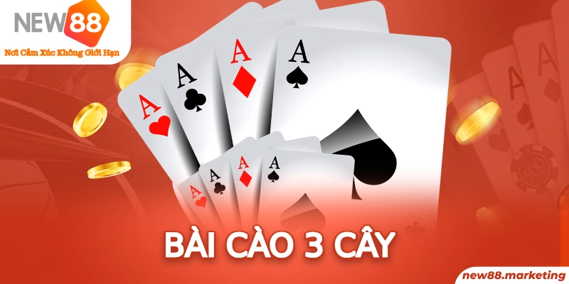 pkvip88 long bảo trong baccarat là gì