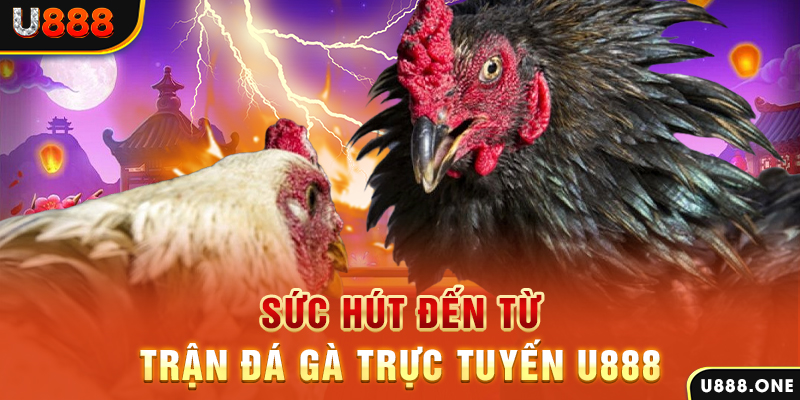 pkvip88 đá gà trực tiếp c1