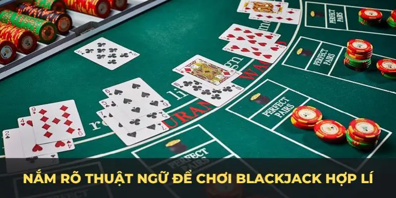 pkvip88 c1 gà chọi