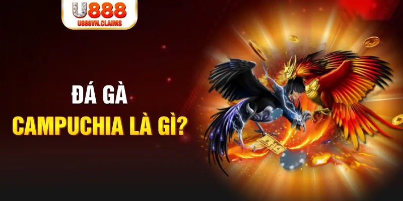 pkvip88 bắn cá vàng h5