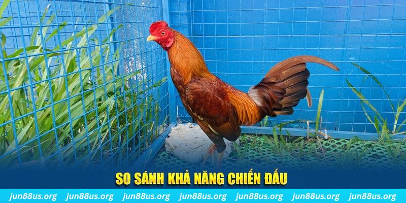 pkvip88 CQ9 Điện Tử