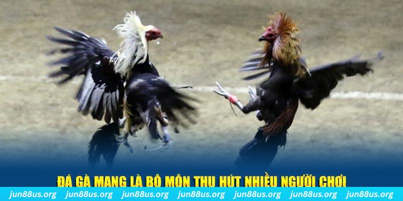 pkvip88 bắn cá au88
