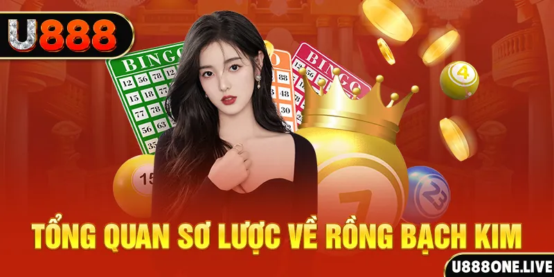 pkvip88 hũ 8 bit nổ như thế nào