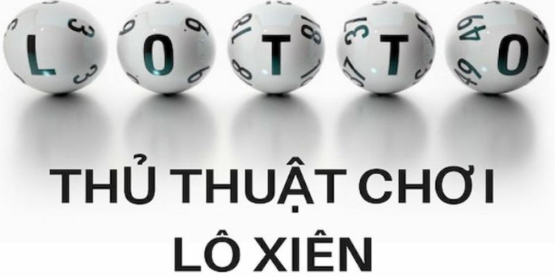 pkvip88 trực tiếp đá gà thomo