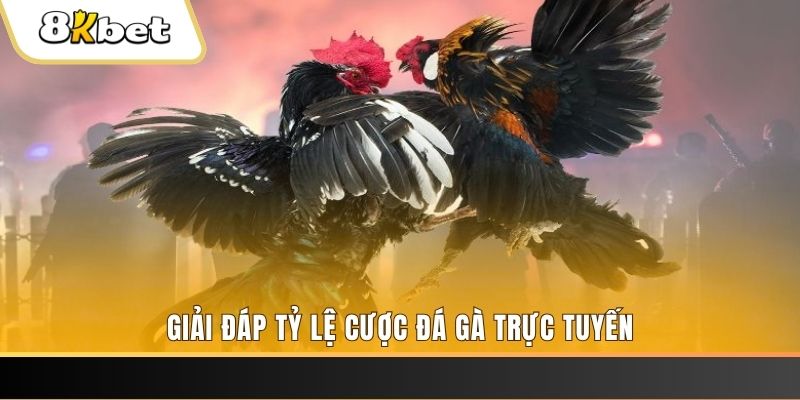 pkvip88 xổ số đài miền trung