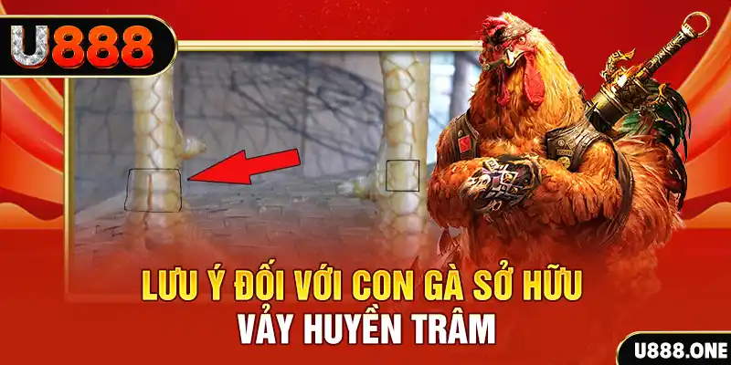 pkvip88 kết quả xổ số miền nam hôm nay