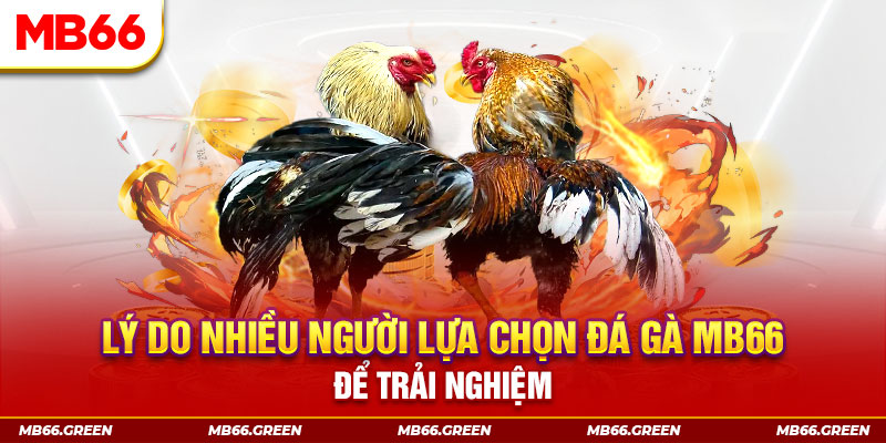 pkvip88 xổ số miền bắc thứ bảy hàng tuần