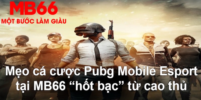 pkvip88 VA Bắn cá