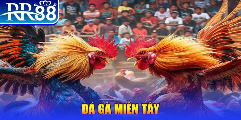 no hu doi thuong ai