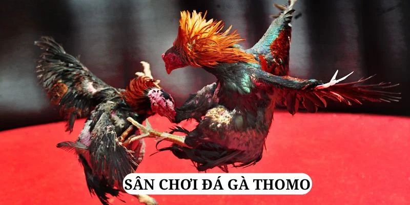 pkvip88 trực tiếp xổ số miền bắc